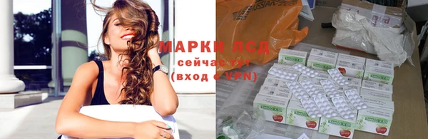 прущие грибы Абинск