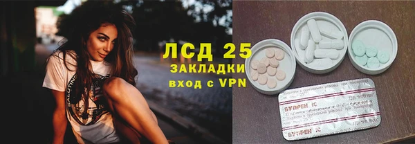 прущие грибы Абинск