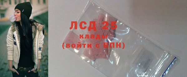 прущие грибы Абинск