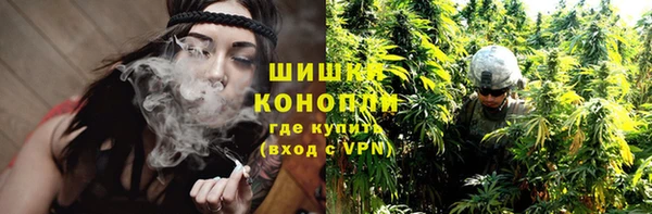 прущие грибы Абинск