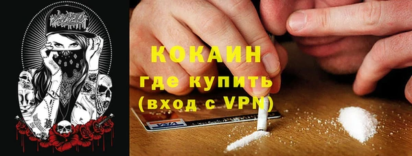 дживик Абаза