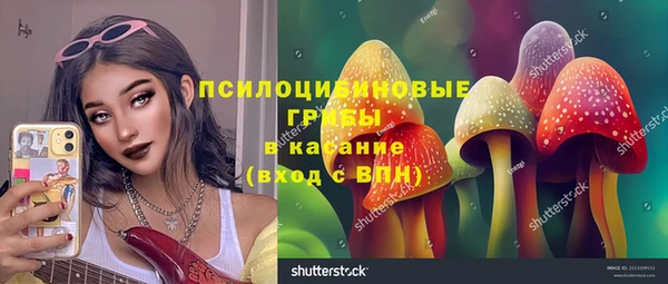 дживик Абаза